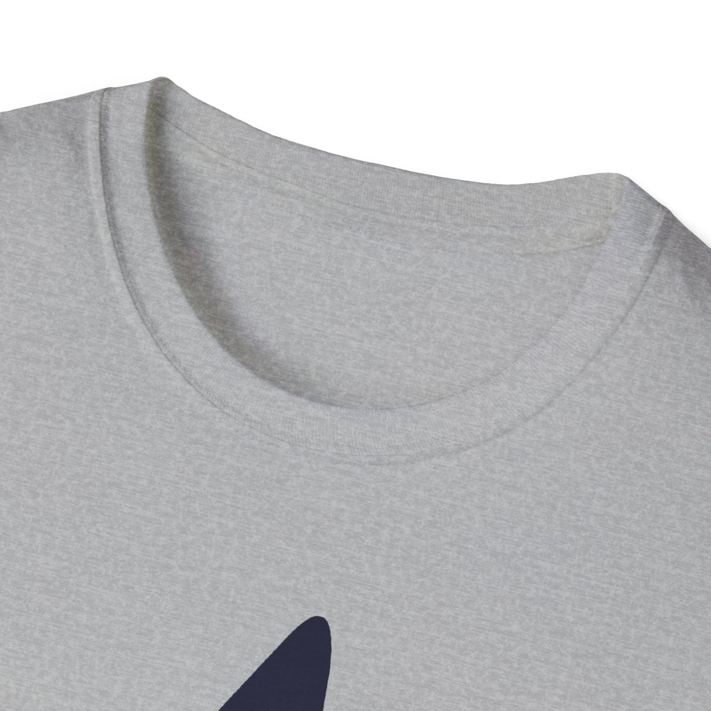 big star - the t-shirt